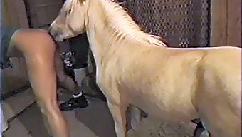 Girl gave her pussy to the horse and she like it
