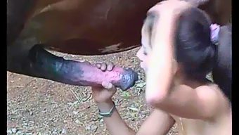 Horse suddenly starts fuck girl in mouth during blowjob