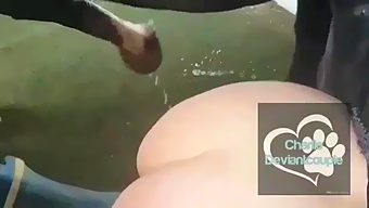 Compilation active horse sex with assistant