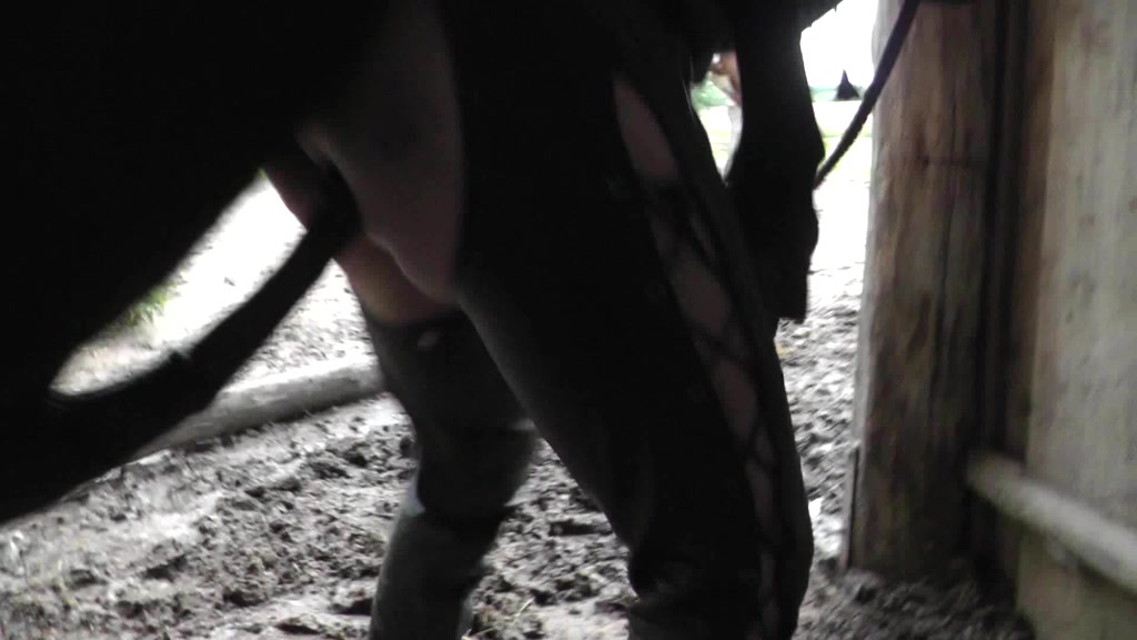 Compilation active zoo porn with horse