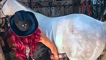 Horse want fuck girl very much