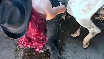 Horse want fuck girl very much