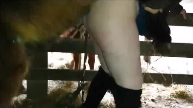 Horse fuck me now! Compilation of active horse sex-> 