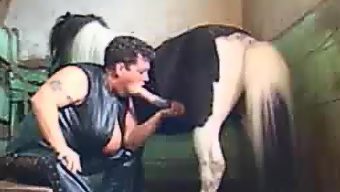 Horse fuck woman in mouth compilation